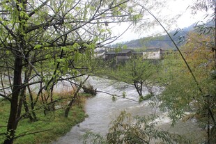 山间溪流旁的自然景致