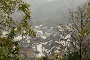雾中村落景致