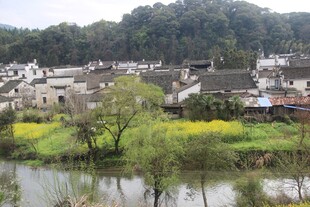 江南水乡田园风光美景