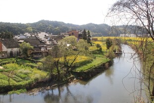 乡村河畔美景