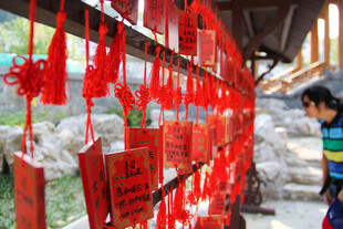 祈福牌前的驻足者