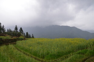 云雾下的田野与远山