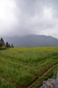 山间绿野 云雾缭绕之景