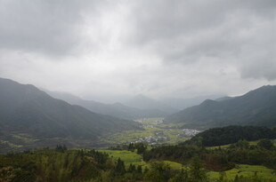 山间云雾缭绕的绿色景致