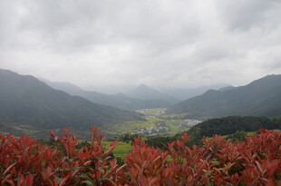 山间红叶与朦胧远山景色