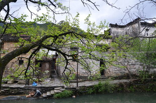 江南水乡古村春日景致