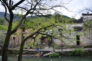 江南水乡古村春日景致