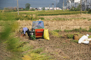 田间劳作的农机与农人