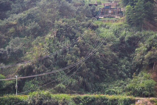 山间绿意盎然的植被景观