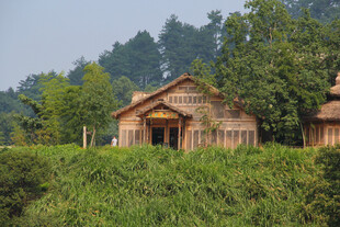 乡村木屋隐于葱郁草木间