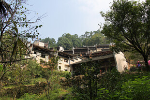 古村落隐于葱郁山林间