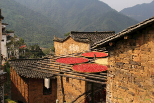 山村屋顶晾晒的红色作物