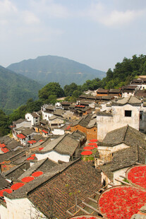 古村屋顶晾晒的秋日画卷