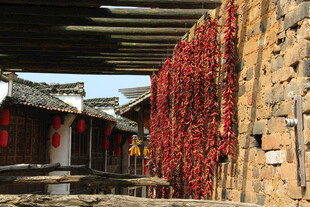 古村挂满红辣椒的质朴景象