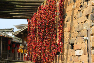 墙上晾晒的串串红辣椒