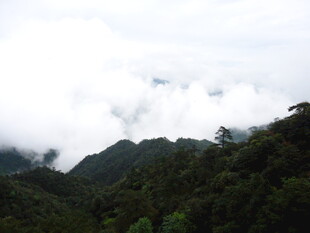云雾缭绕的翠绿山峦