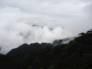 云雾缭绕的山峦景色