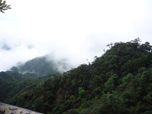 云雾缭绕的翠绿山峦