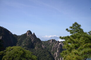 秀丽山峦间的葱郁景致