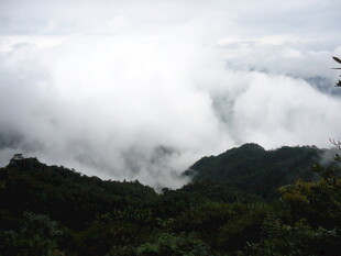 云雾缭绕的山峦美景