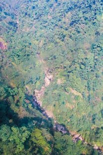俯瞰葱郁山林中的蜿蜒河流
