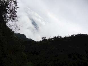 山间云雾缭绕的绿意景致