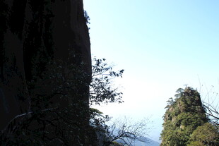 山间峭壁旁的葱郁树木