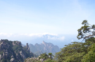 秀丽山峦间的葱郁景色