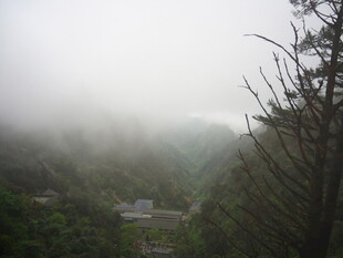 雾中朦胧山林景色