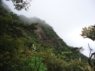 云雾缭绕的翠绿山峦