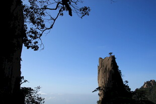 奇峰耸立云海间