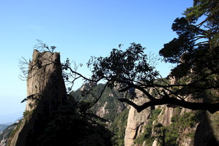黄山奇峰与苍松景观