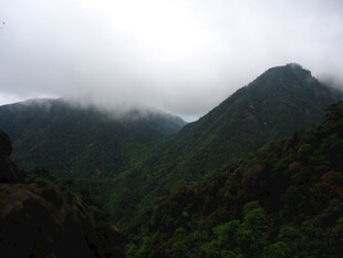 云雾缭绕的翠绿山峦