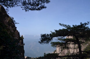 山间苍松映蓝天