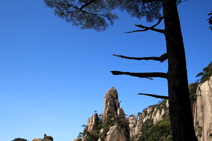 枯树旁的奇峻山石景观