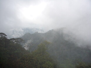 云雾缭绕的山林美景