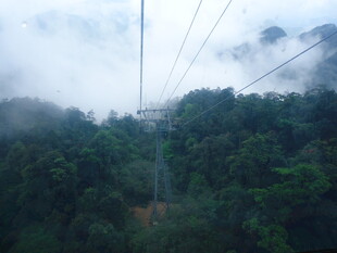 云雾中穿行的山间缆车
