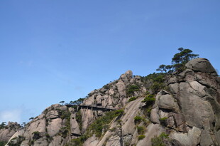 峻峭山峰上的孤松