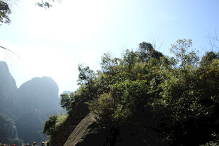 山间绿意盎然的自然景致