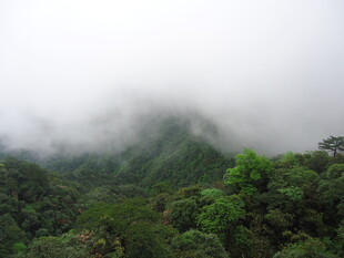 云雾缭绕的翠绿山峦