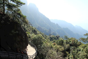 山间栈道旁的秀丽山林景色