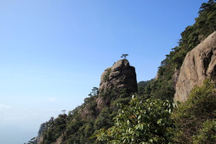 奇峰屹立于葱郁山林间