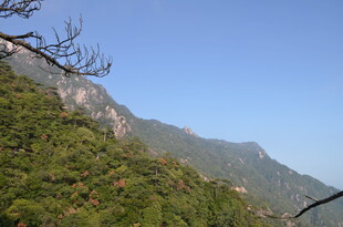 青山葱郁的秀丽山景