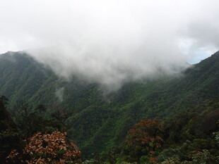 云雾缭绕的翠绿山峦