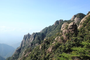 巍峨青山绿意浓
