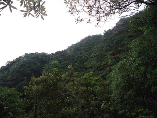 青山绿树间的自然景致