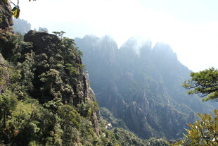 壮丽山景 植被覆盖的巍峨山峰