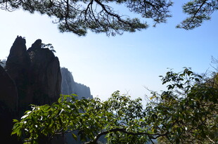 秀丽山峰与葱郁树木景观