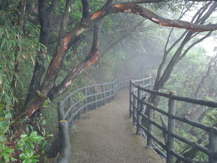 山间雾中蜿蜒栈道