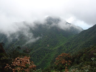 云雾缭绕的翠绿山峦